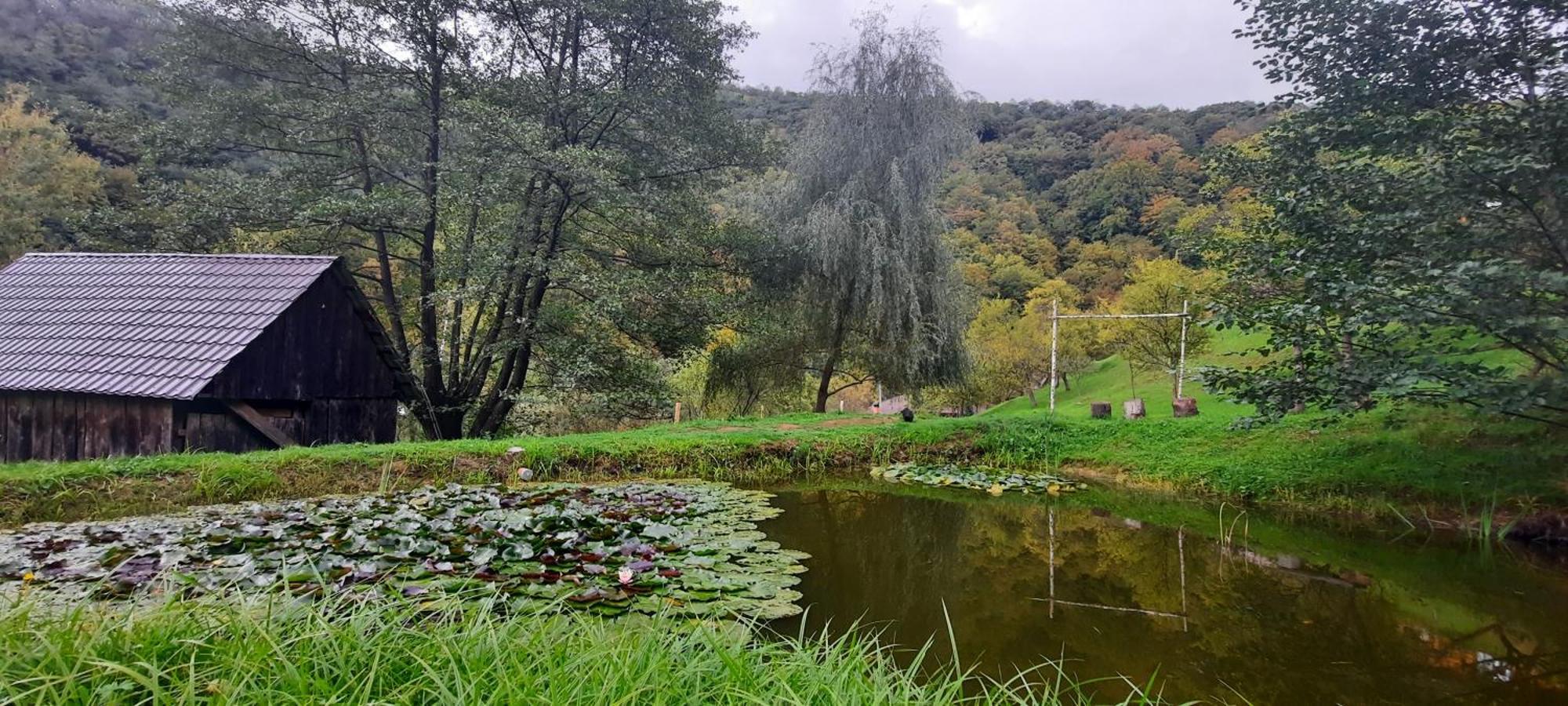 Pensiunea Lupul Dacic Costeşti Extérieur photo