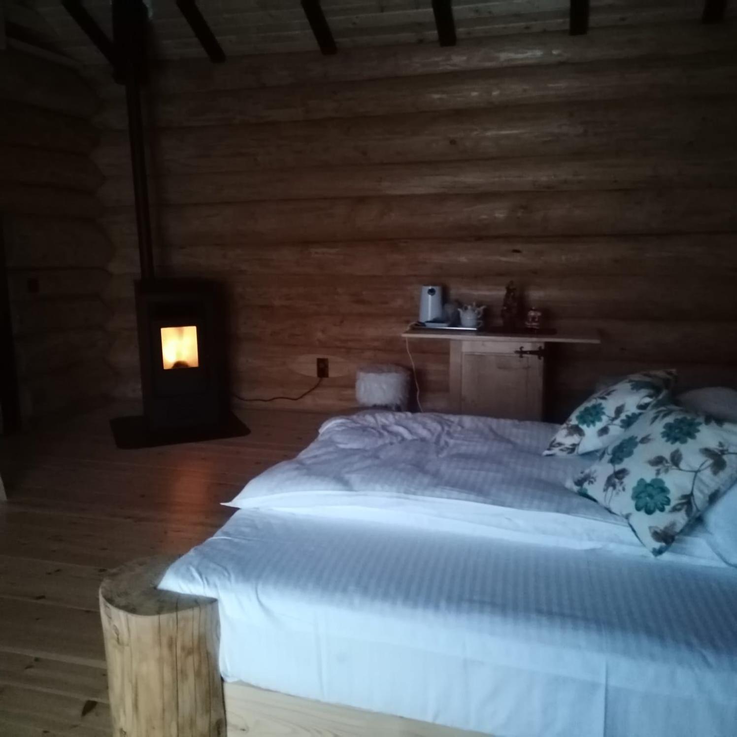 Pensiunea Lupul Dacic Costeşti Chambre photo