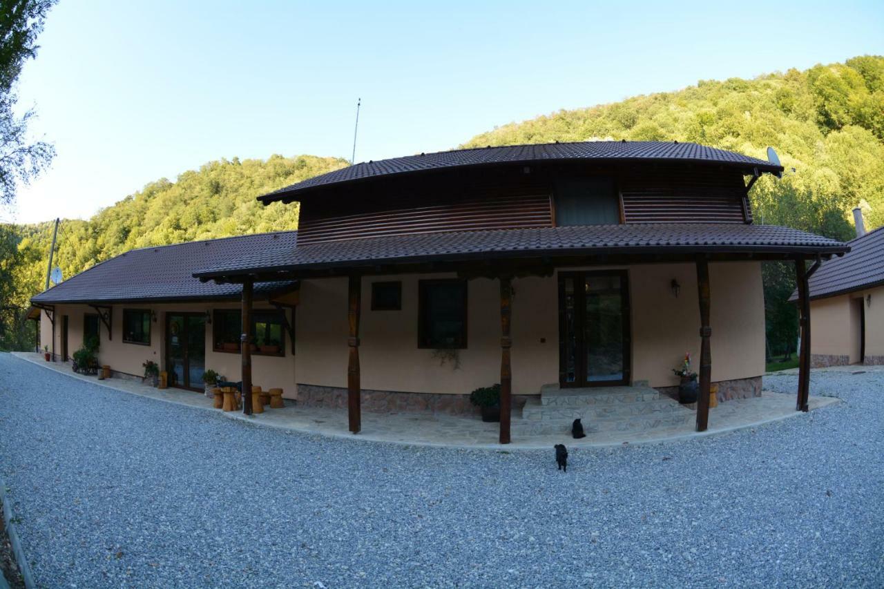 Pensiunea Lupul Dacic Costeşti Extérieur photo