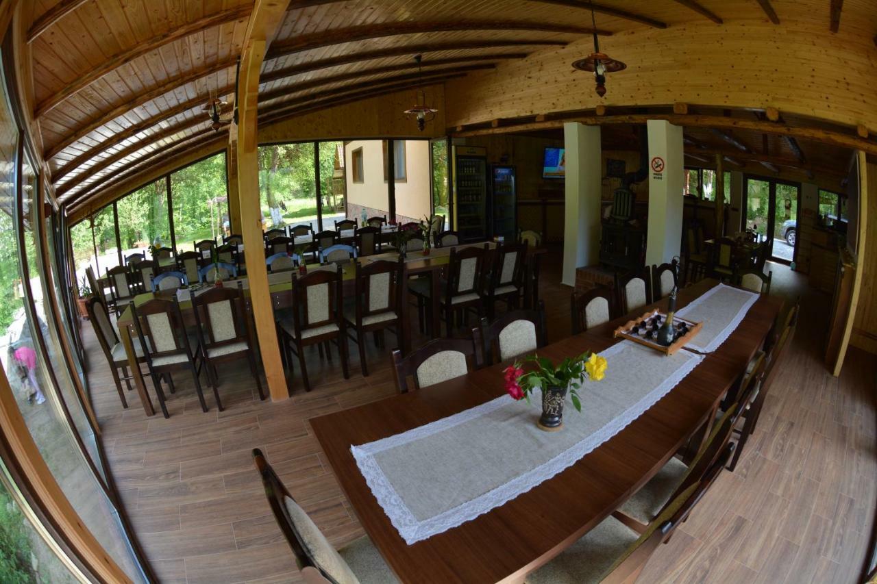Pensiunea Lupul Dacic Costeşti Extérieur photo