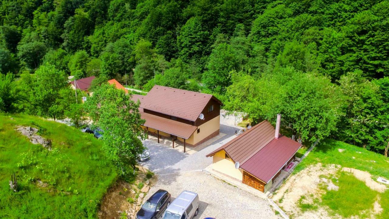 Pensiunea Lupul Dacic Costeşti Extérieur photo