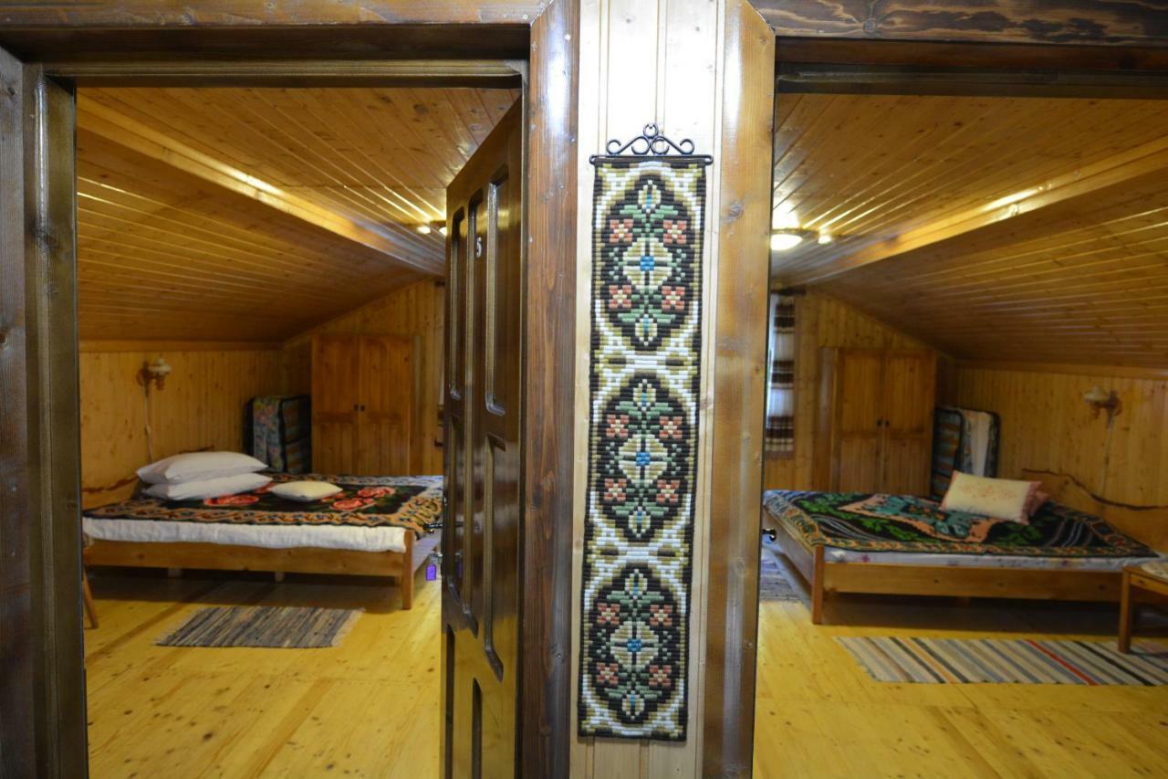 Pensiunea Lupul Dacic Costeşti Extérieur photo