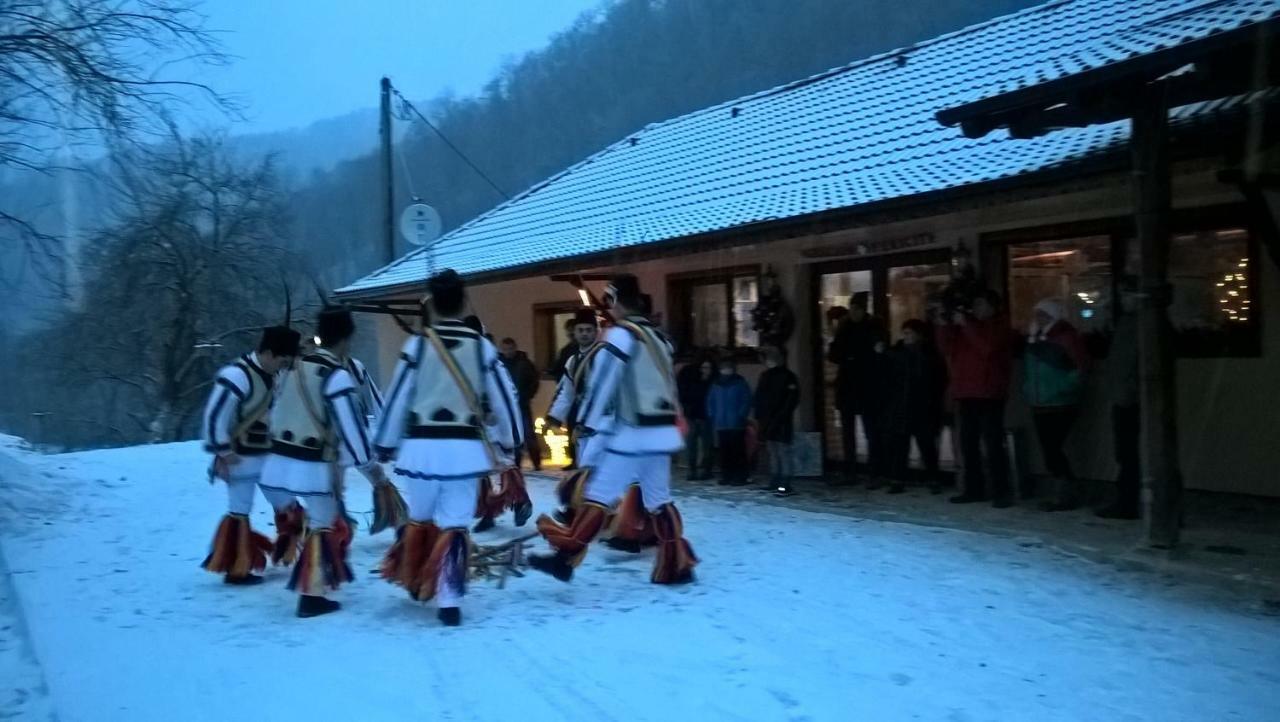 Pensiunea Lupul Dacic Costeşti Extérieur photo