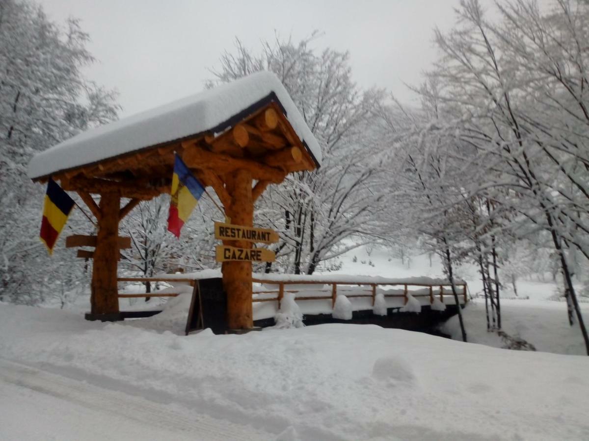 Pensiunea Lupul Dacic Costeşti Extérieur photo